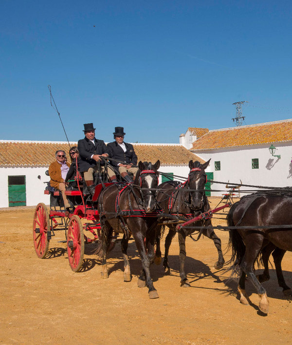 Fundación JR Guillén