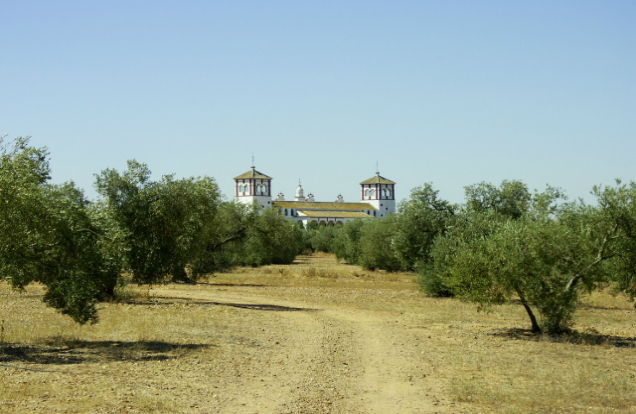 Fundación JR Guillén